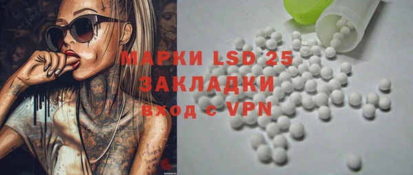 a pvp Новозыбков